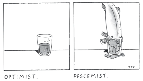 Optimist Pescemist